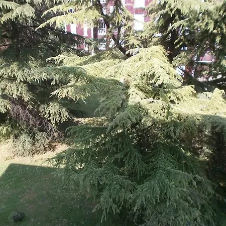 Garden To 1 Km From The Centre Of Pordenone